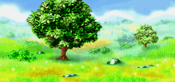 Grass